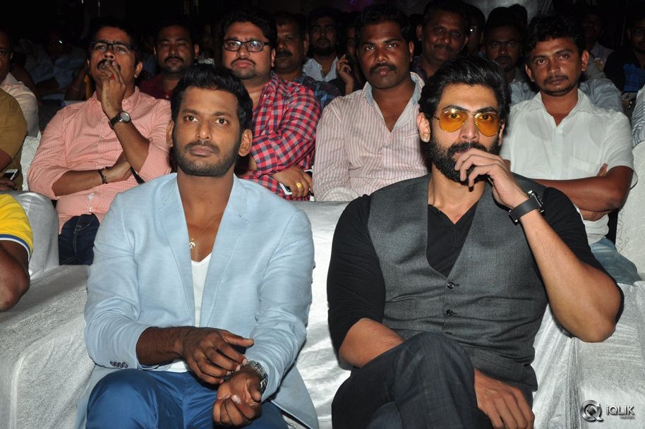 Rayudu-Movie-Audio-Launch